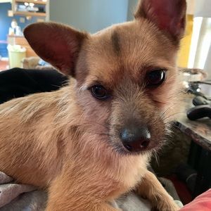 Meet your Posher, Michaella